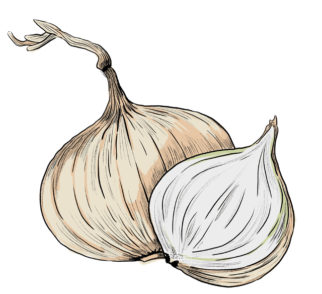 Cebolla perla